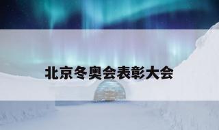 北京冬奥会表彰大会 北京冬奥会表彰人员名单